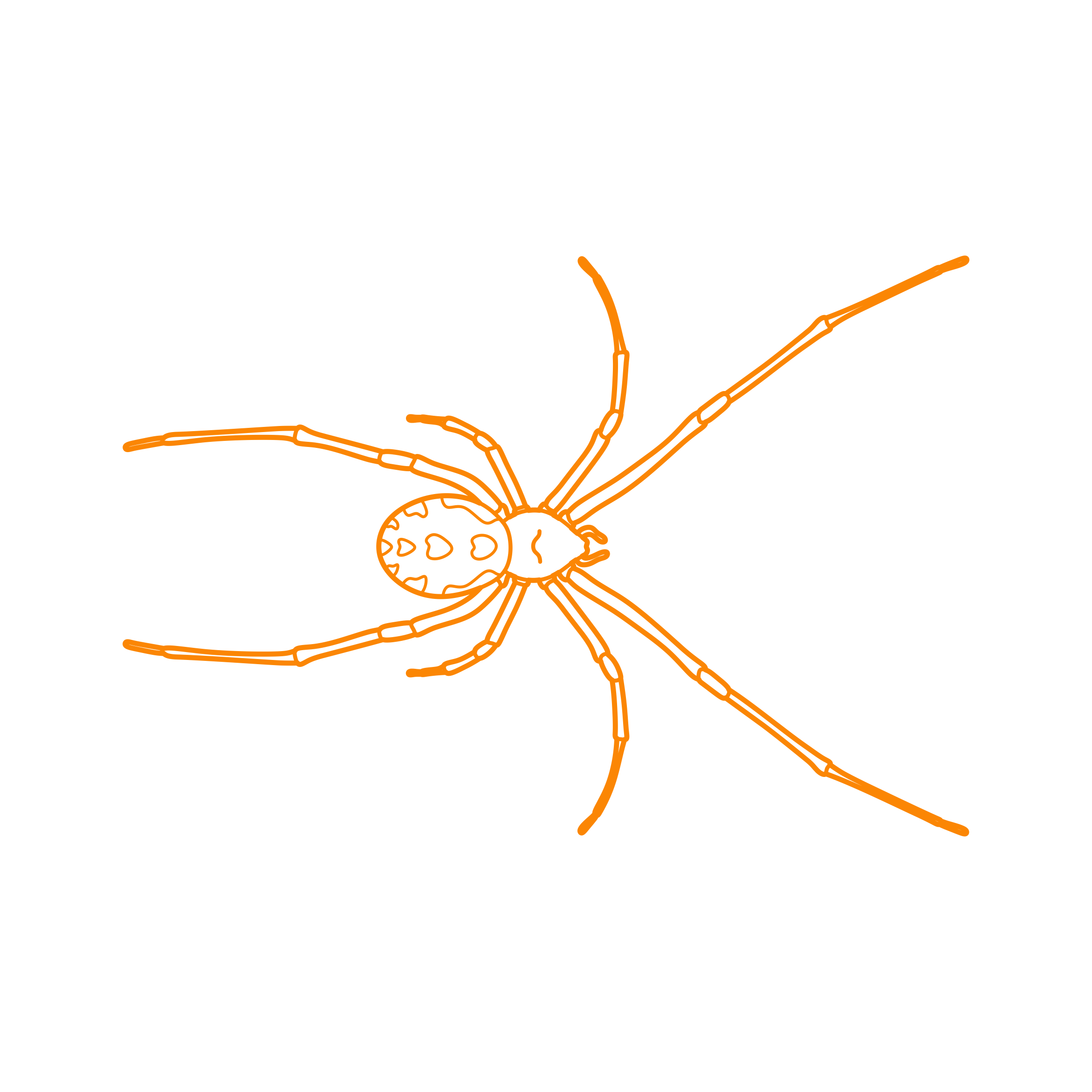 Animals Arachnids Brown Widow Stencil Svg Vector Free Vectors